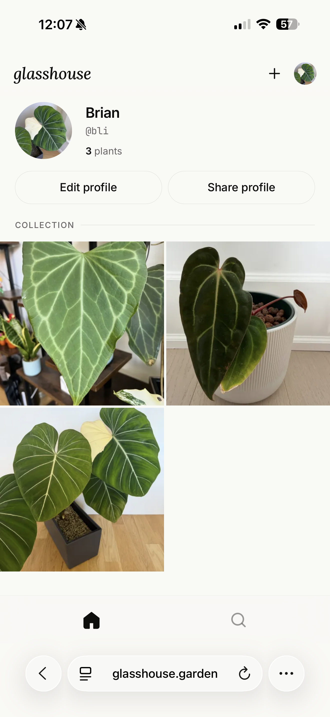 A Glasshouse profile page showing a collector's grid of rare plants